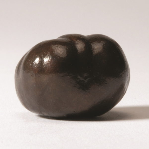 Brown Chestnut